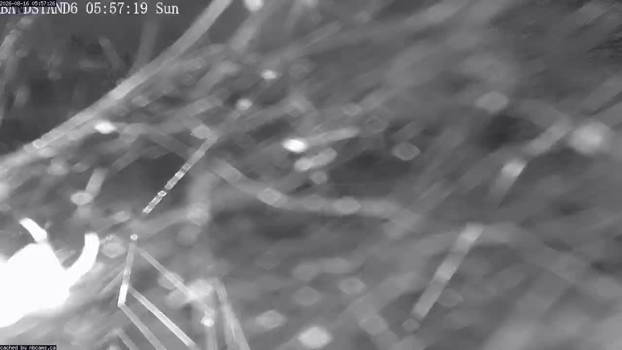 Web Cam image of Perth-Andover