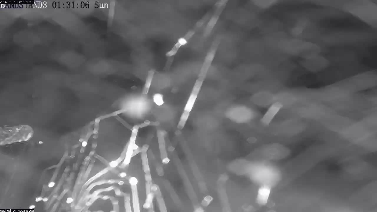 Web Cam image of Perth-Andover