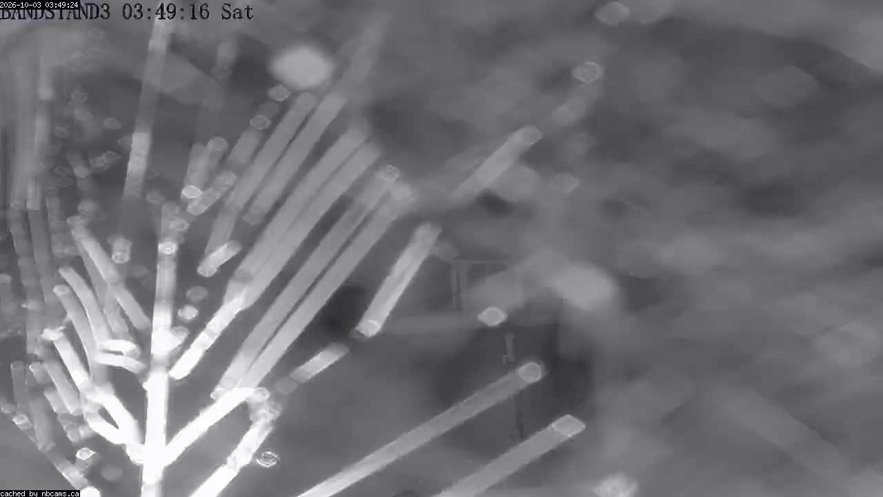Web Cam image of Perth-Andover