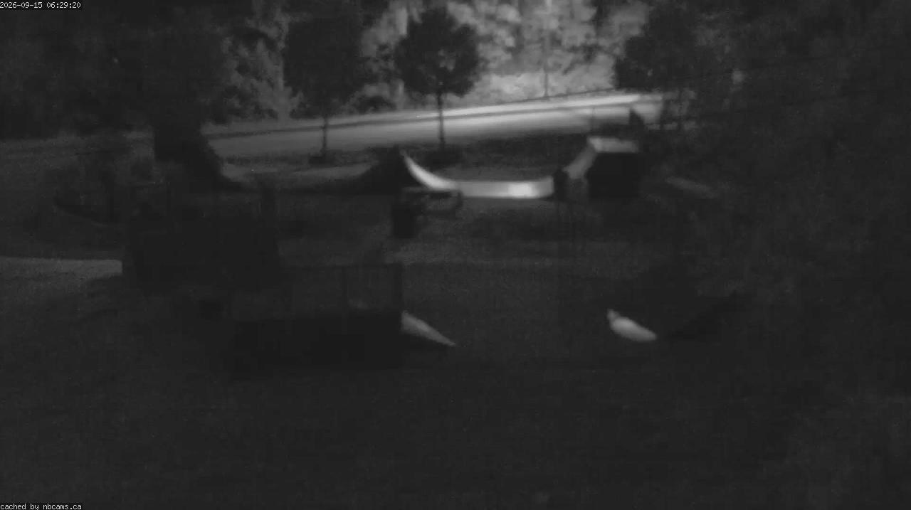 Web Cam image of Quispamsis - Skate Park