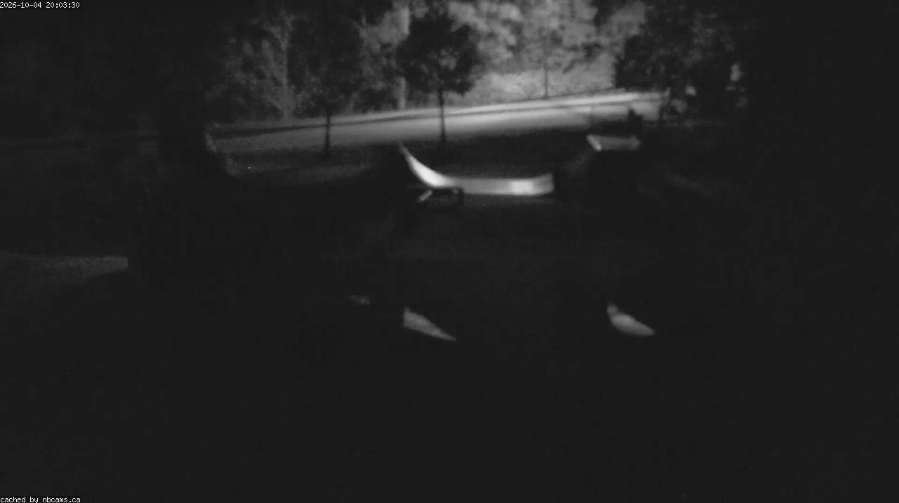 Web Cam image of Quispamsis - Skate Park