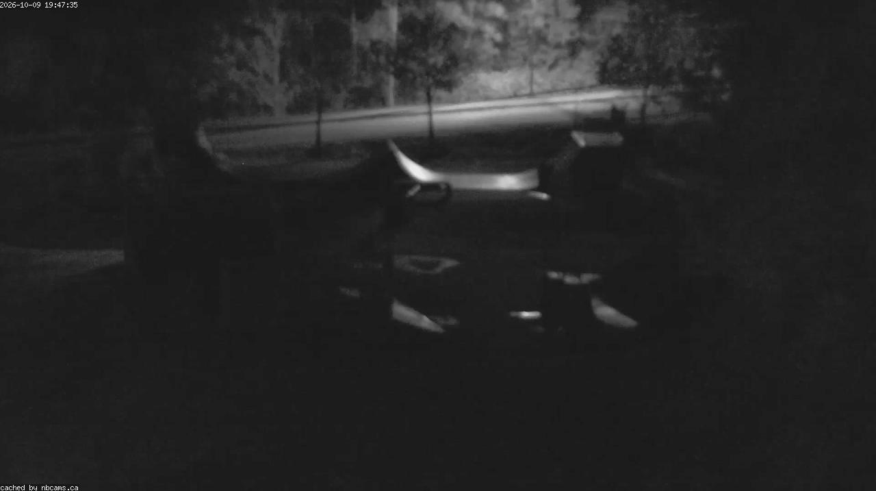 Web Cam image of Quispamsis - Skate Park