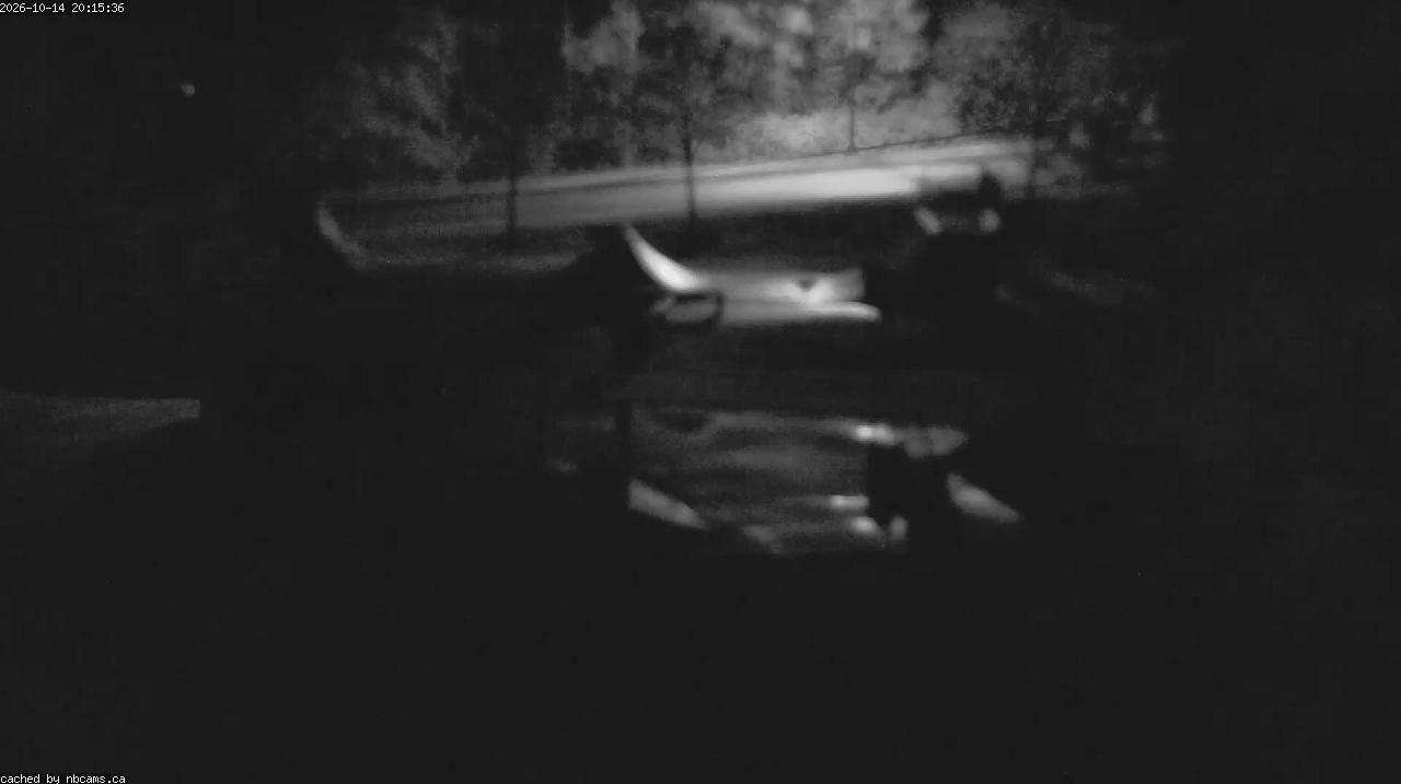 Web Cam image of Quispamsis - Skate Park