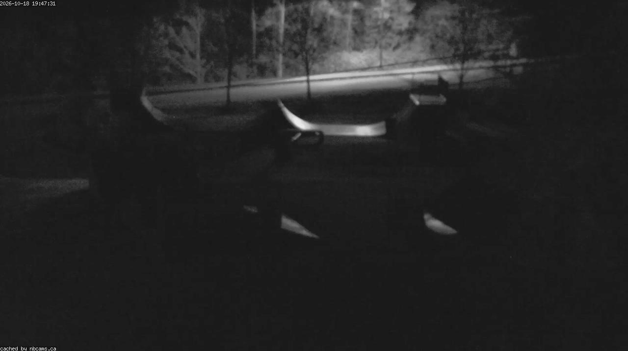Web Cam image of Quispamsis - Skate Park