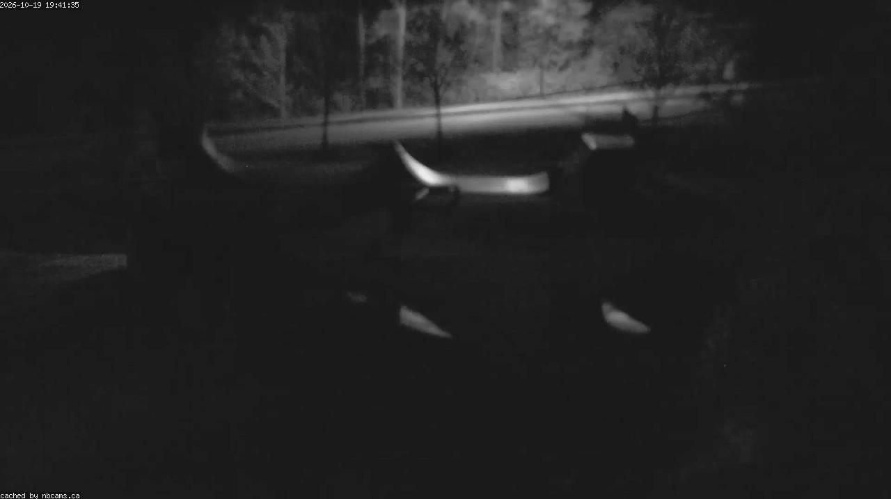 Web Cam image of Quispamsis - Skate Park