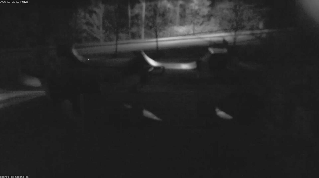 Web Cam image of Quispamsis - Skate Park