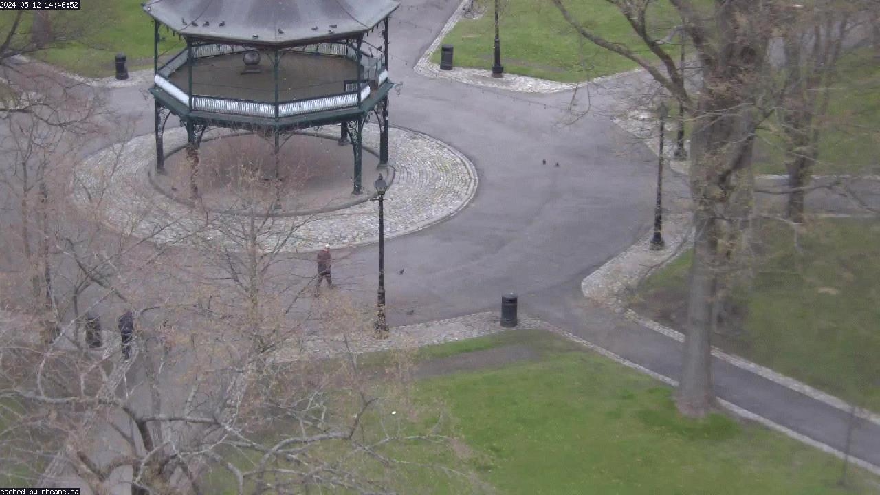Web Cam image of Saint John (King's Square)