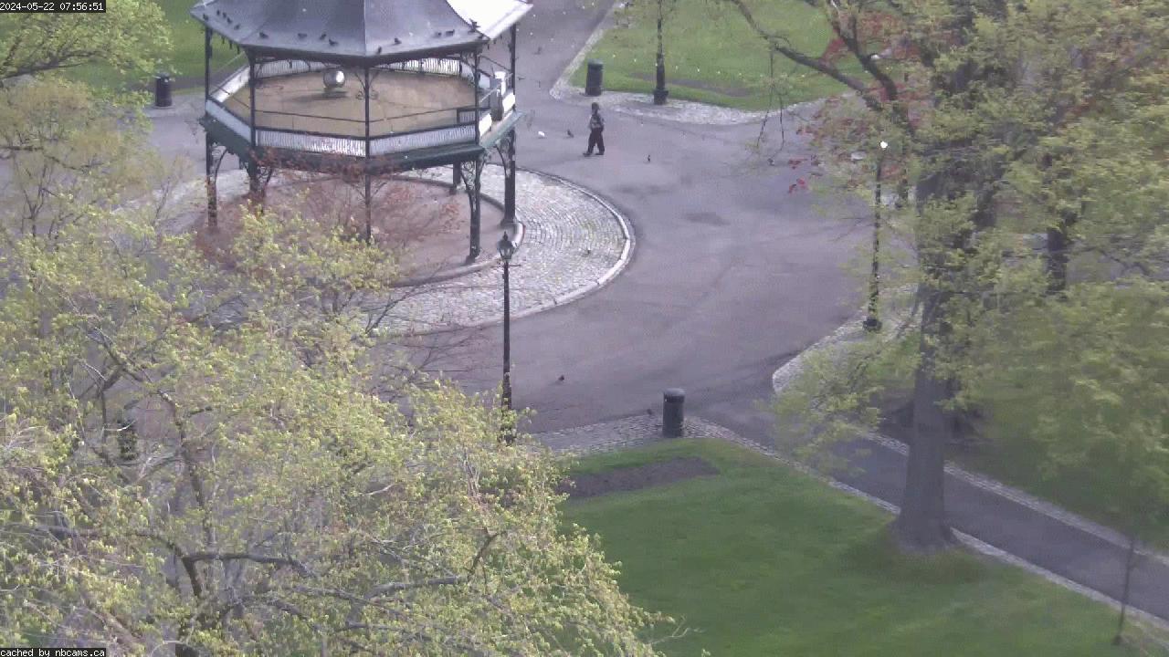 Web Cam image of Saint John (King's Square)