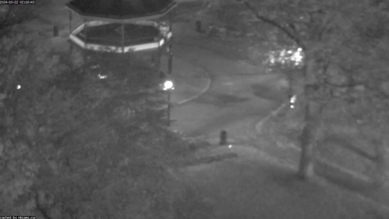 Web Cam image of Saint John (King's Square)