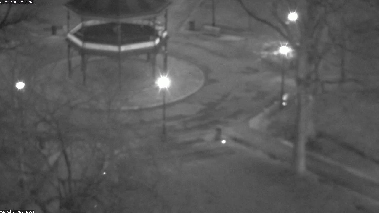 Web Cam image of Saint John (King's Square)