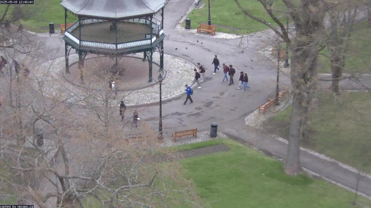 Web Cam image of Saint John (King's Square)