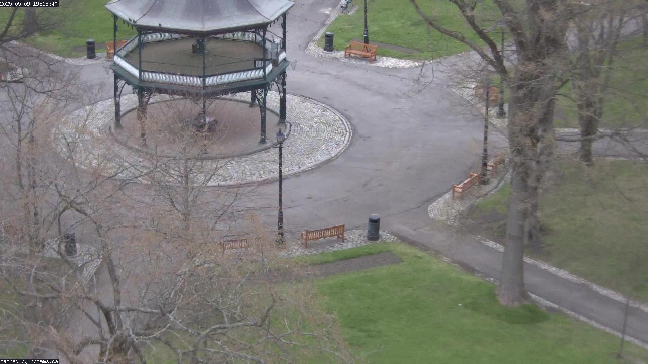 Web Cam image of Saint John (King's Square)