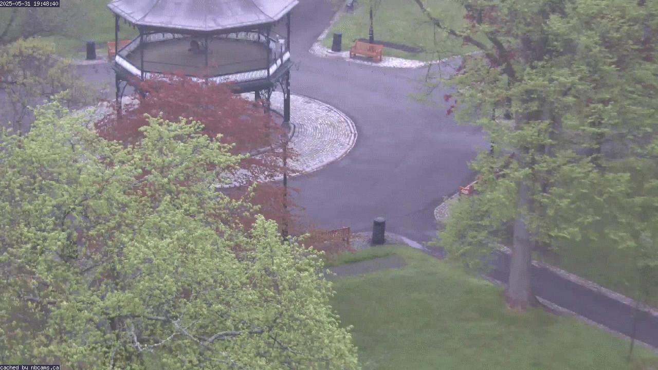 Web Cam image of Saint John (King's Square)