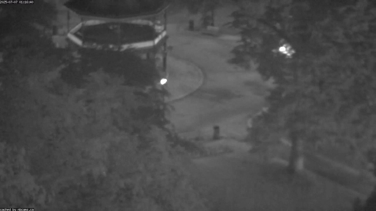 Web Cam image of Saint John (King's Square)