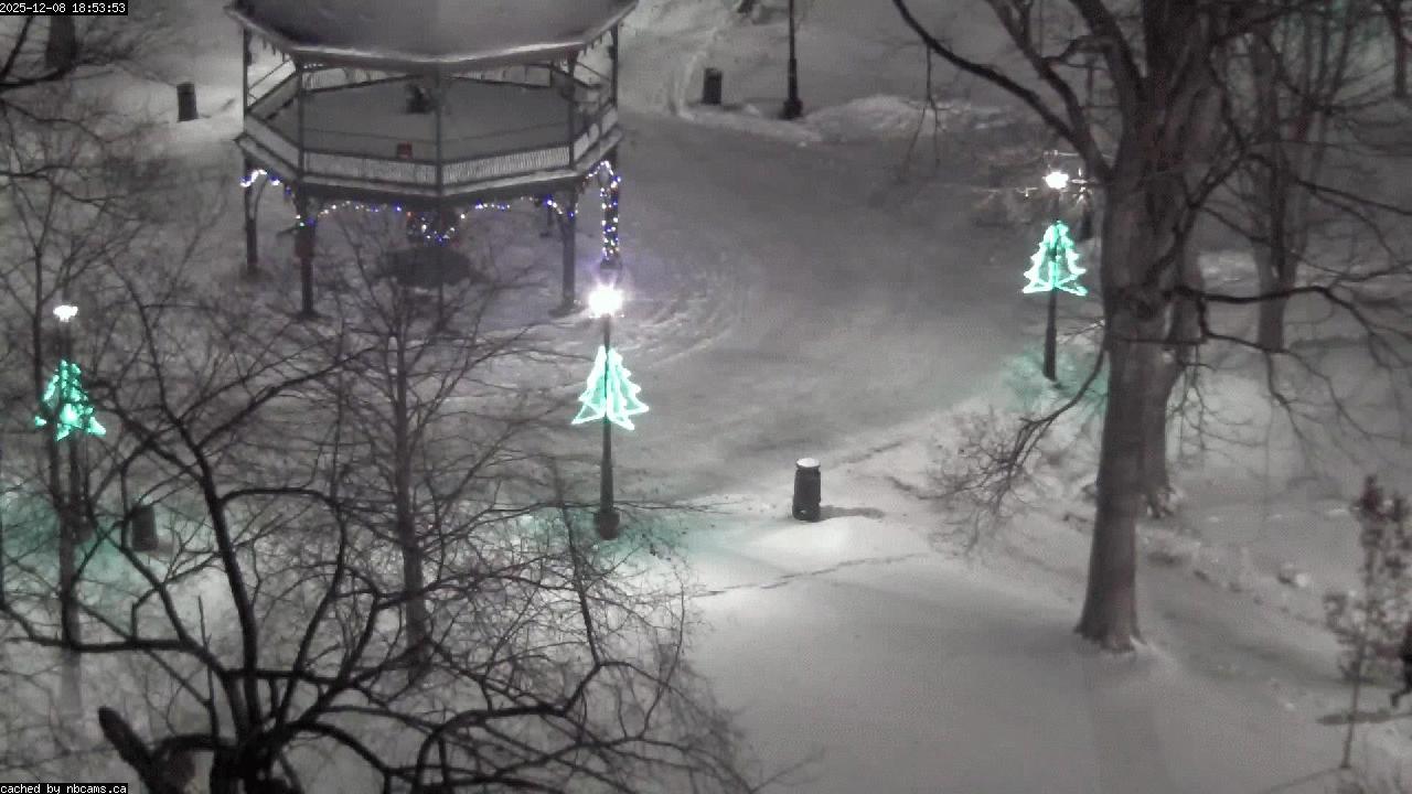 Web Cam image of Saint John (King's Square)