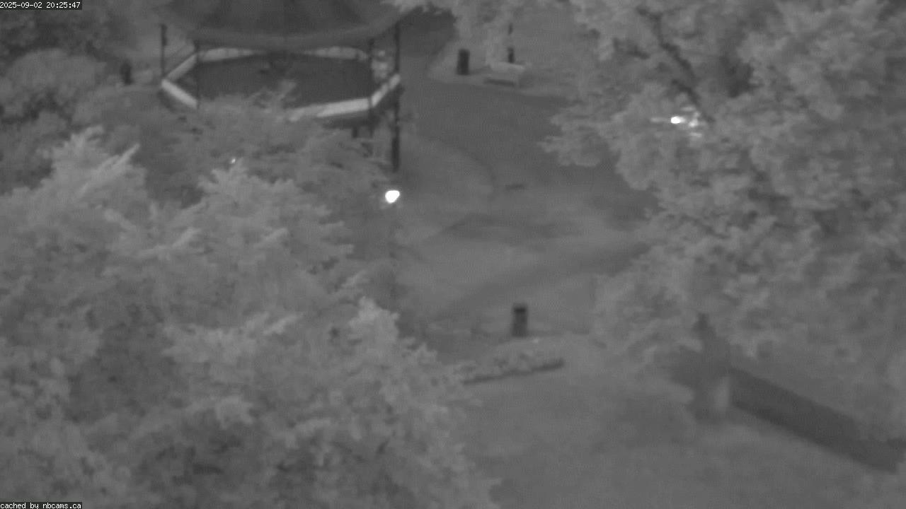 Web Cam image of Saint John (King's Square)