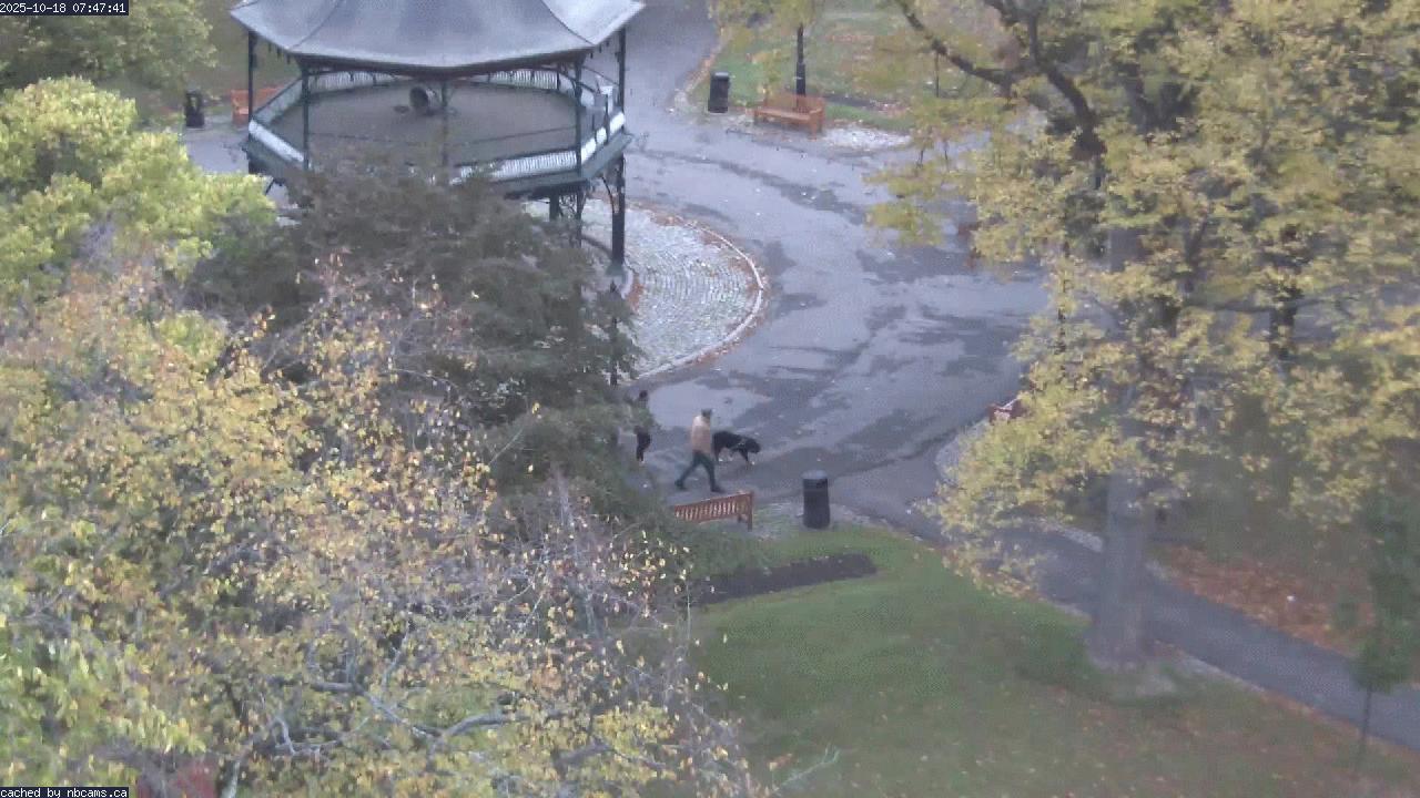 Web Cam image of Saint John (King's Square)