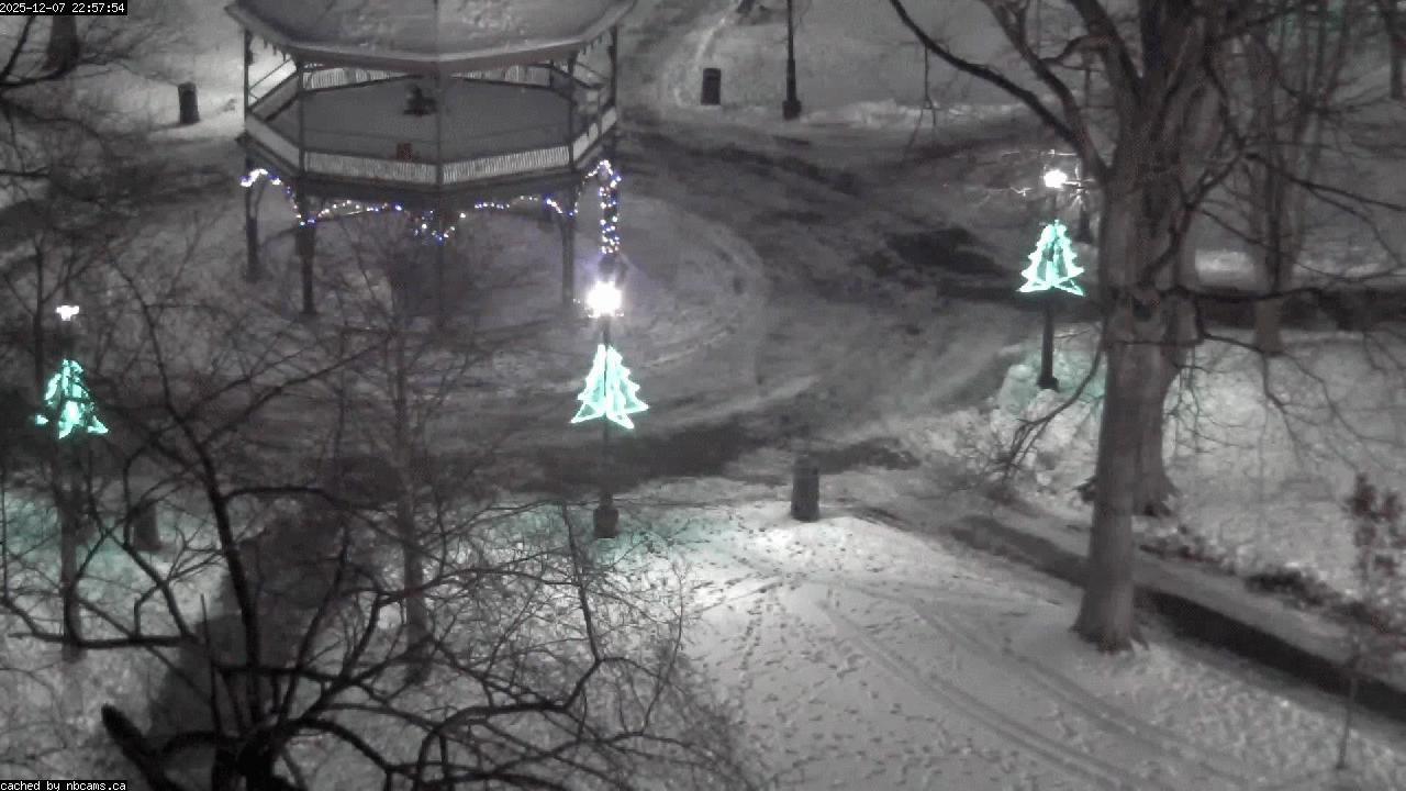 Web Cam image of Saint John (King's Square)