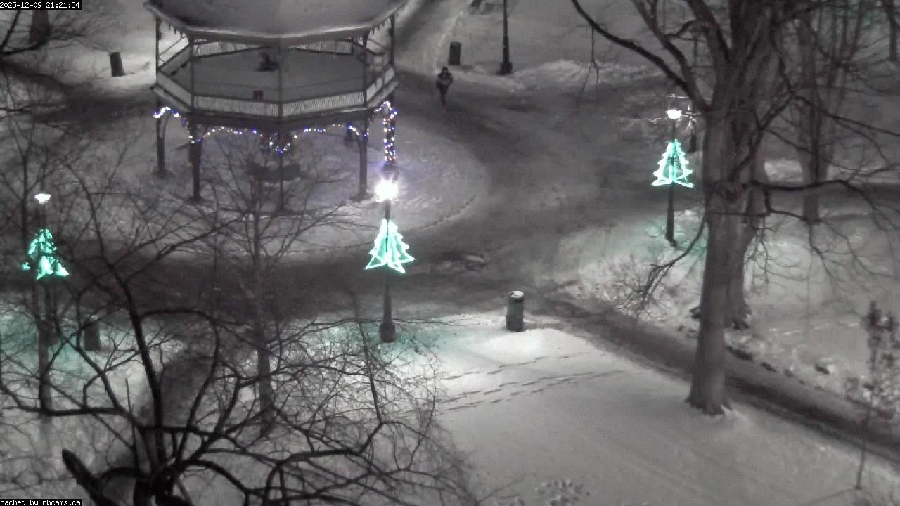 Web Cam image of Saint John (King's Square)