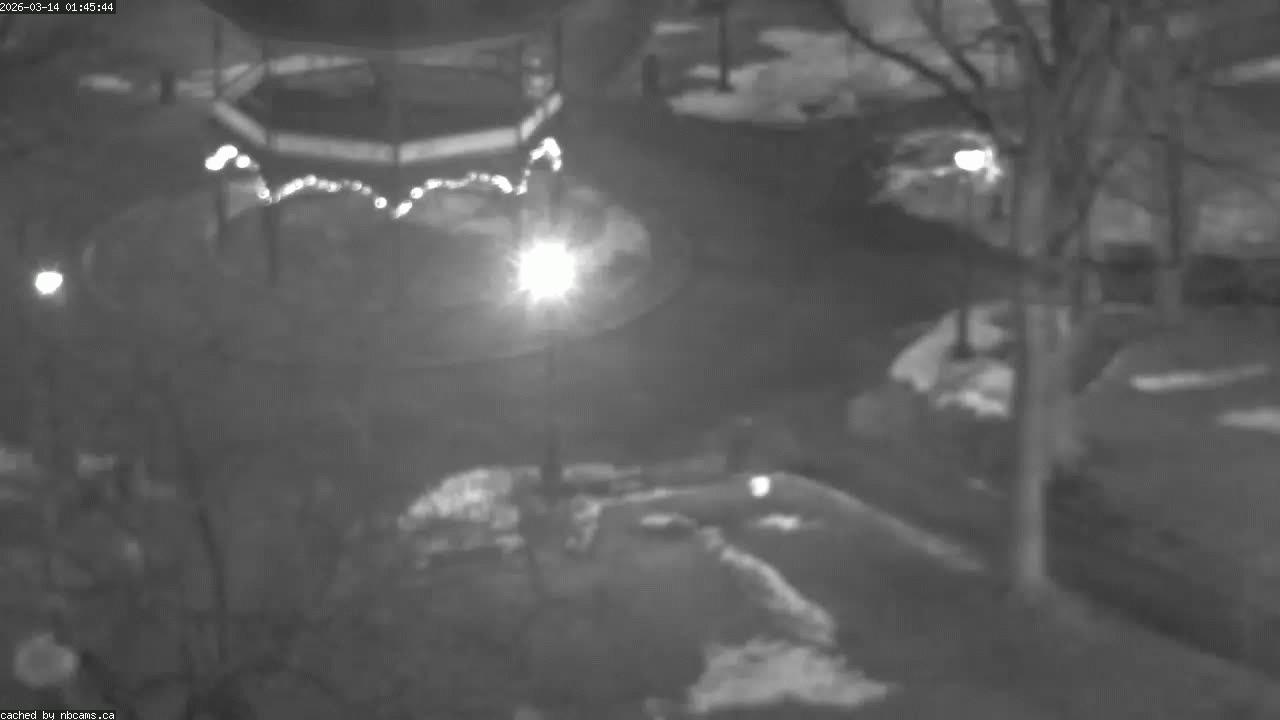 Web Cam image of Saint John (King's Square)