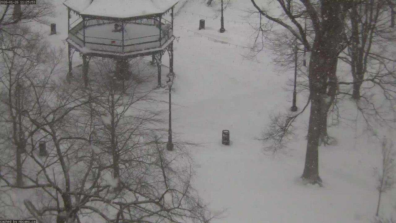 Web Cam image of Saint John (King's Square)