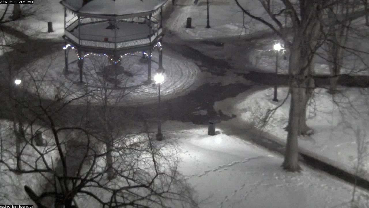 Web Cam image of Saint John (King's Square)