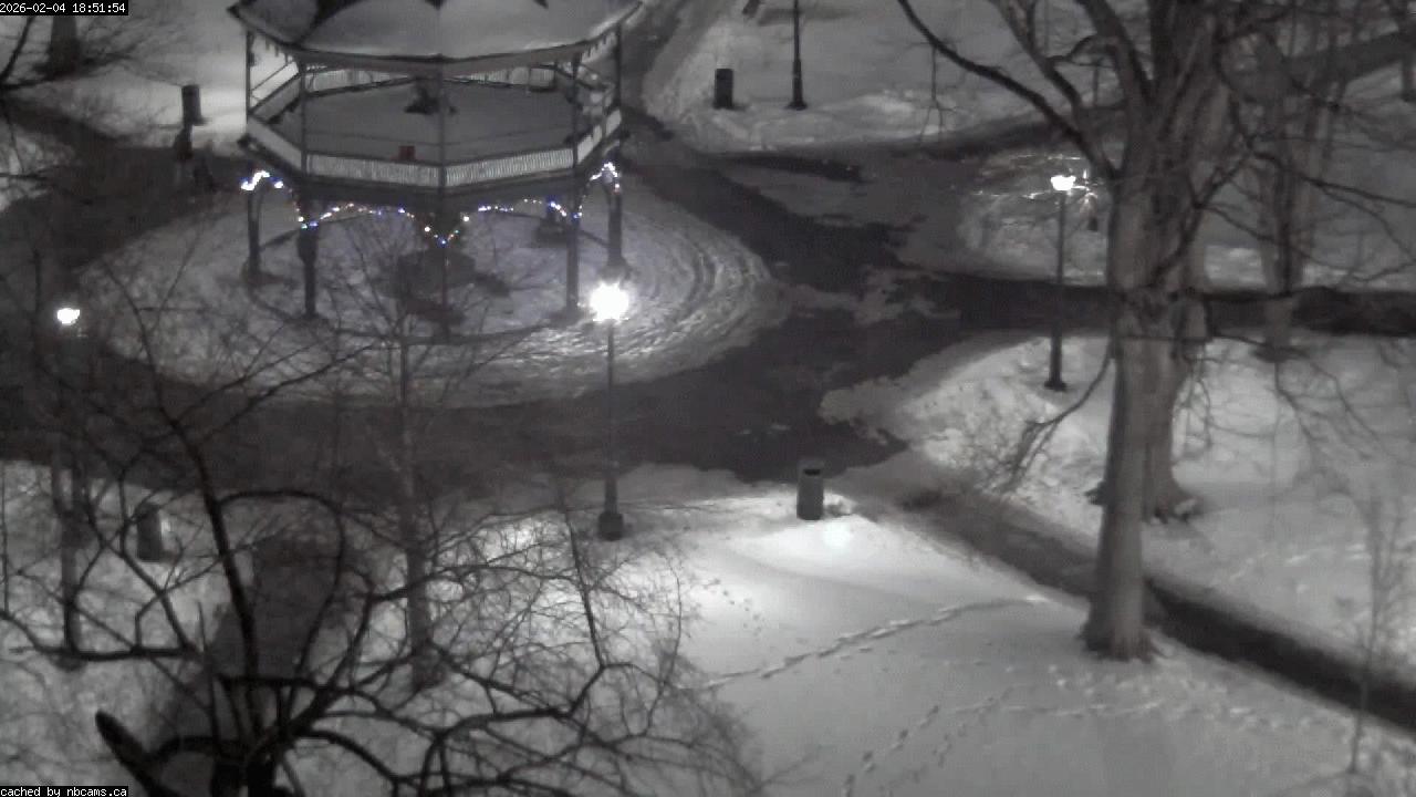 Web Cam image of Saint John (King's Square)