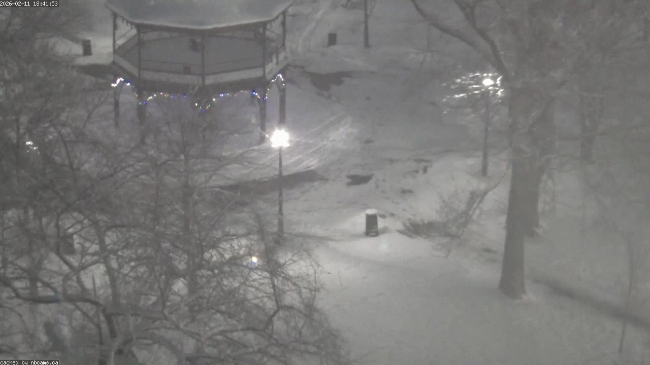 Web Cam image of Saint John (King's Square)