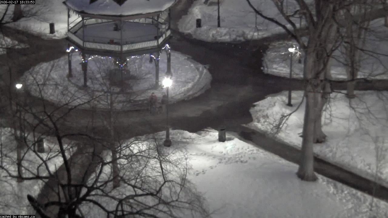 Web Cam image of Saint John (King's Square)