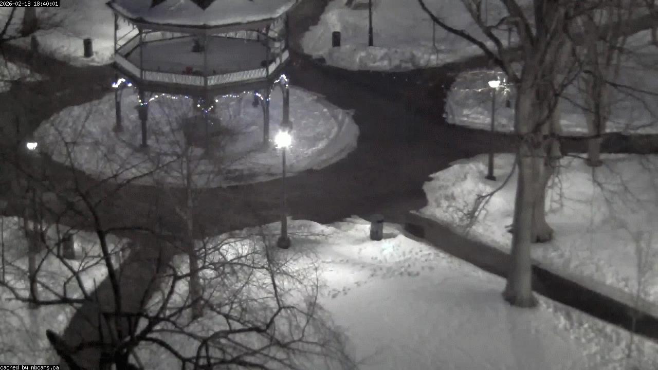 Web Cam image of Saint John (King's Square)