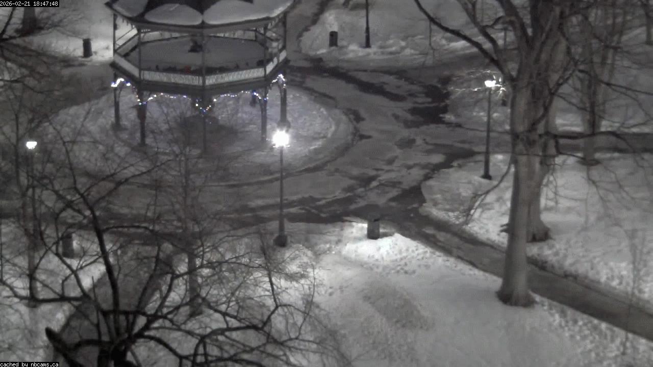 Web Cam image of Saint John (King's Square)