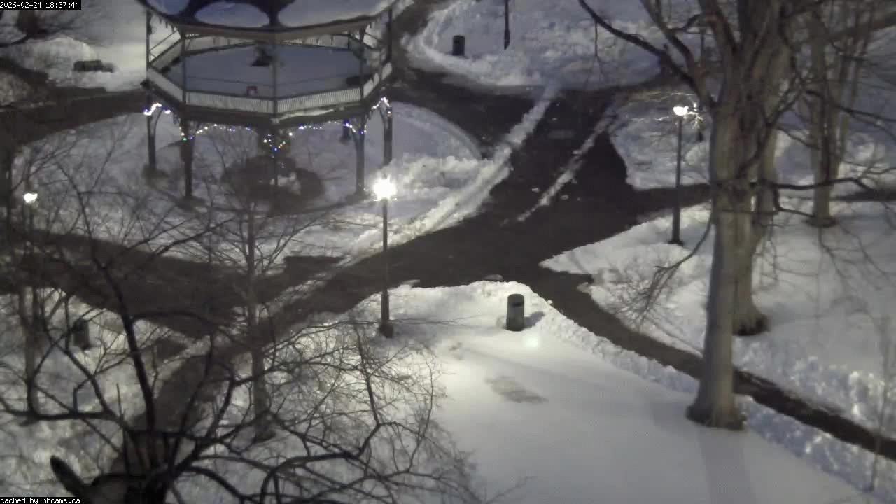 Web Cam image of Saint John (King's Square)