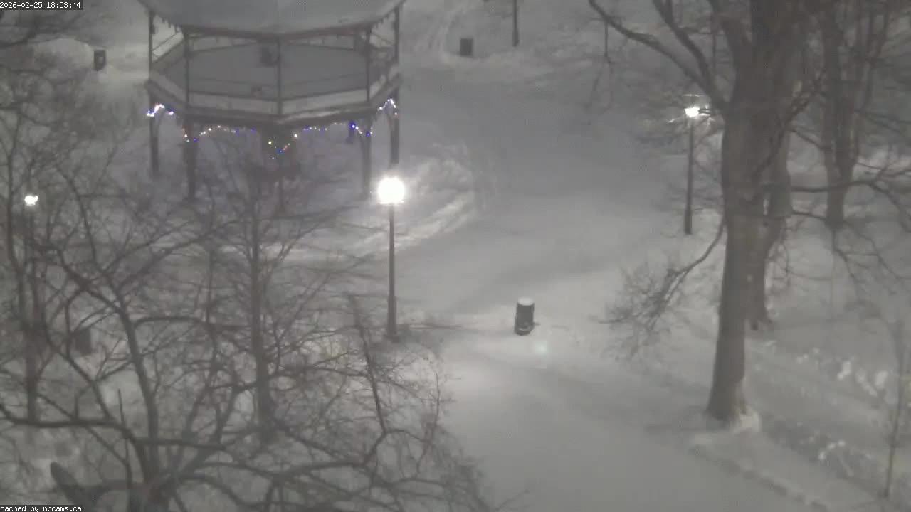 Web Cam image of Saint John (King's Square)
