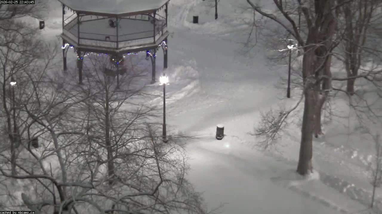 Web Cam image of Saint John (King's Square)