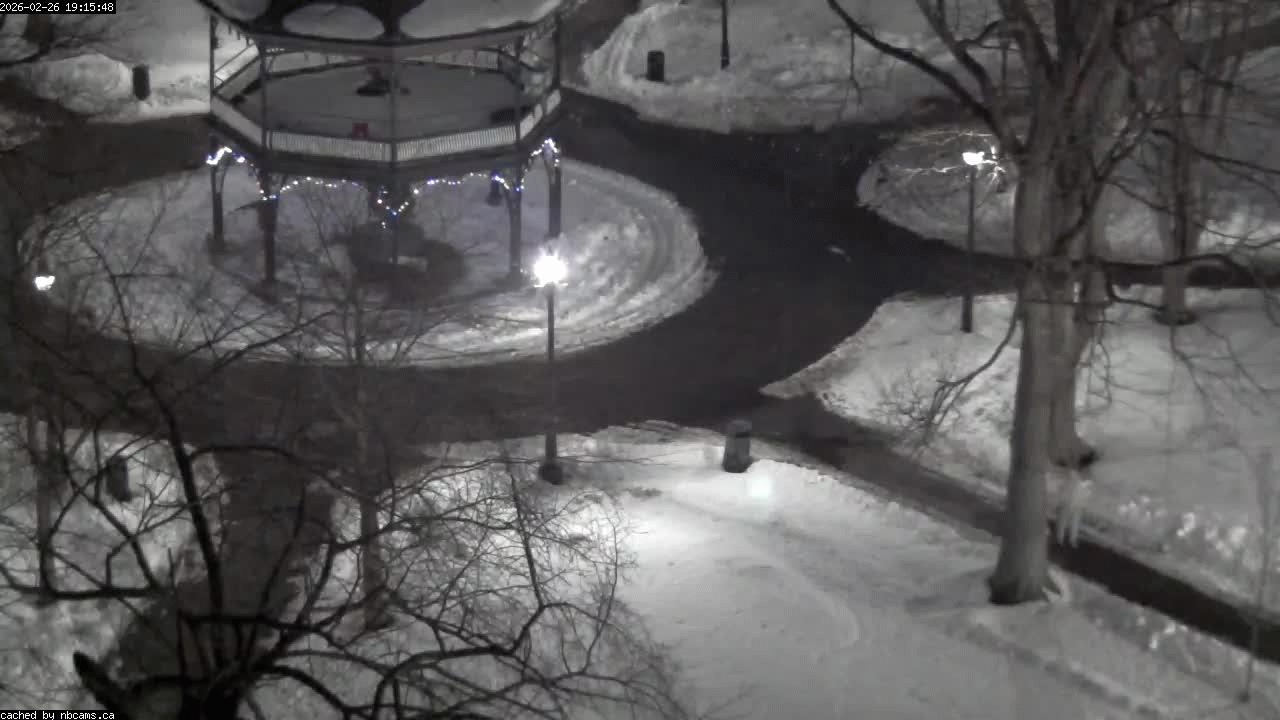 Web Cam image of Saint John (King's Square)