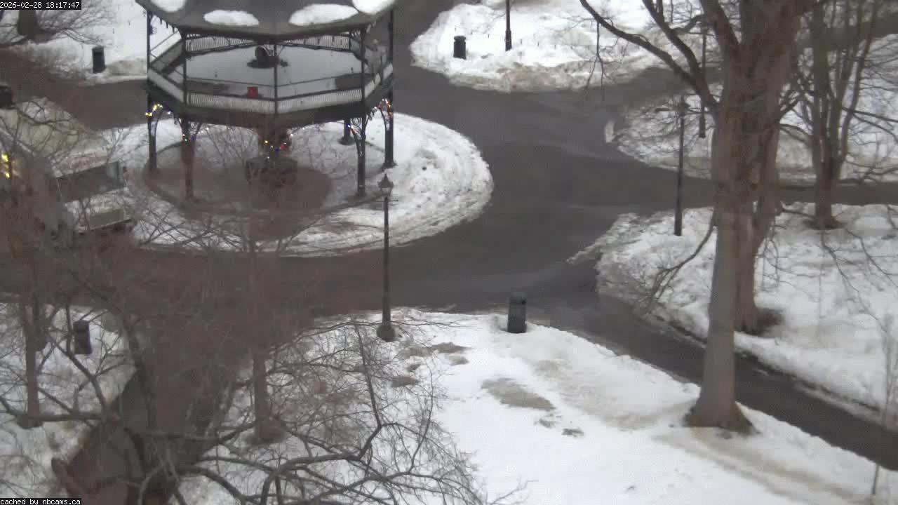 Web Cam image of Saint John (King's Square)
