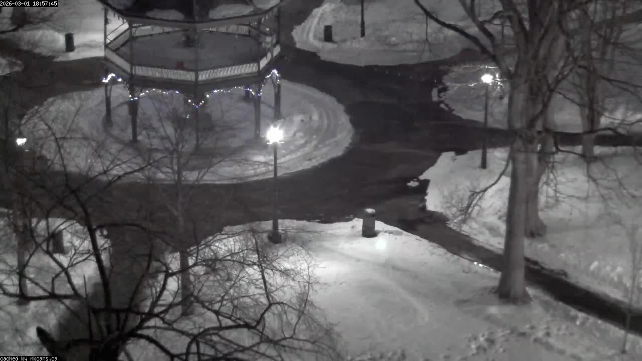 Web Cam image of Saint John (King's Square)