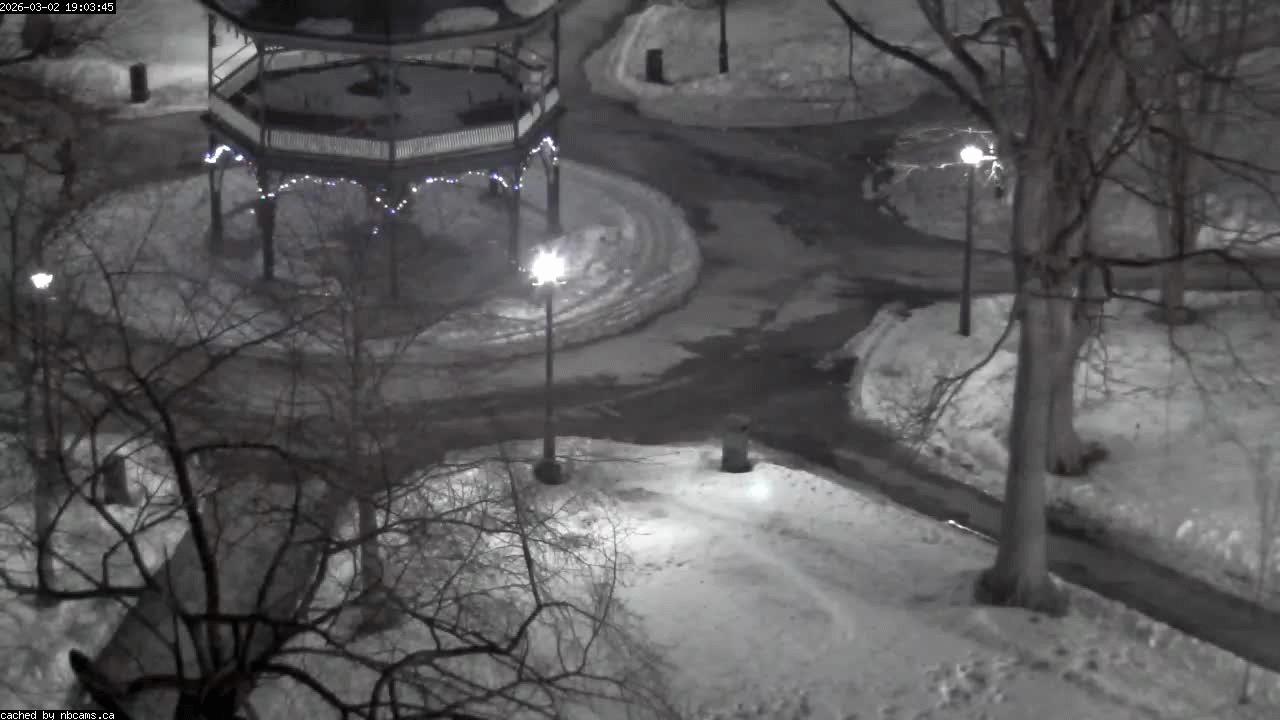 Web Cam image of Saint John (King's Square)