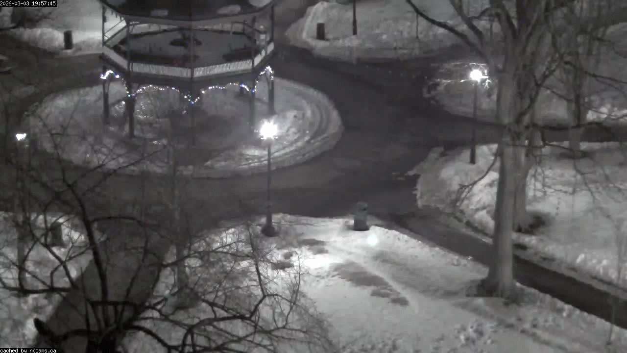 Web Cam image of Saint John (King's Square)