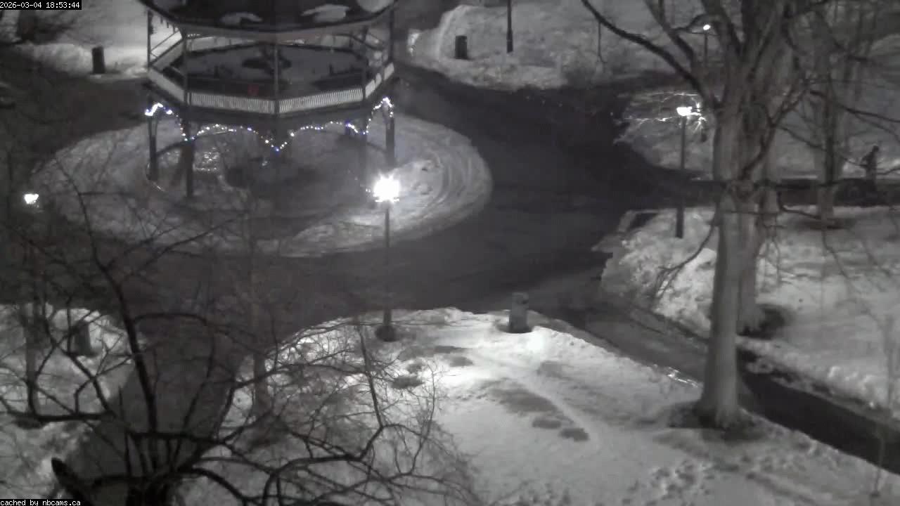 Web Cam image of Saint John (King's Square)