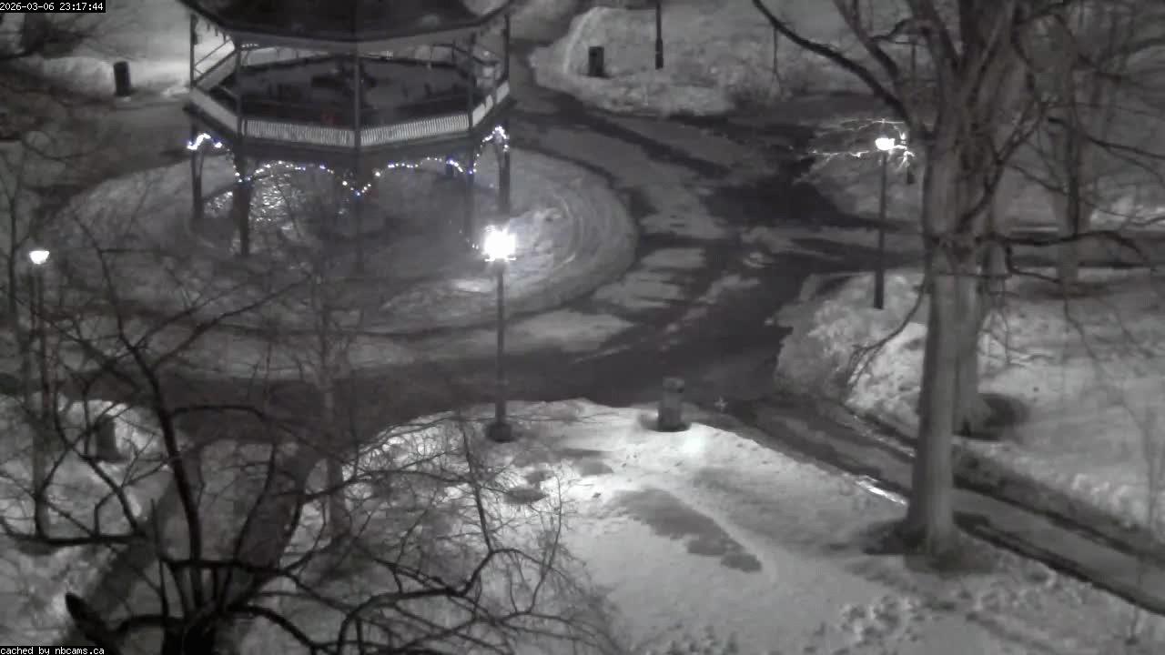 Web Cam image of Saint John (King's Square)