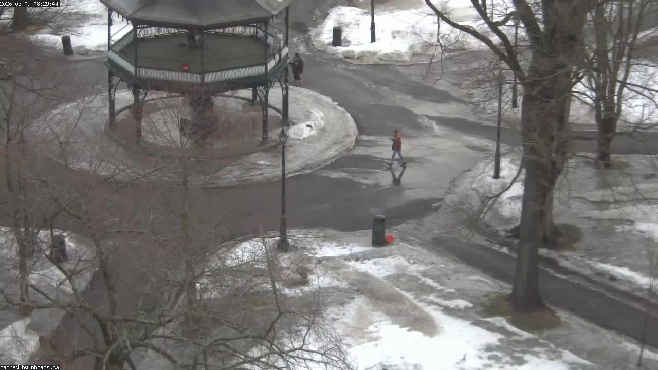 Web Cam image of Saint John (King's Square)