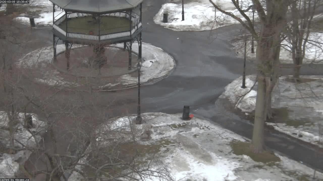 Web Cam image of Saint John (King's Square)
