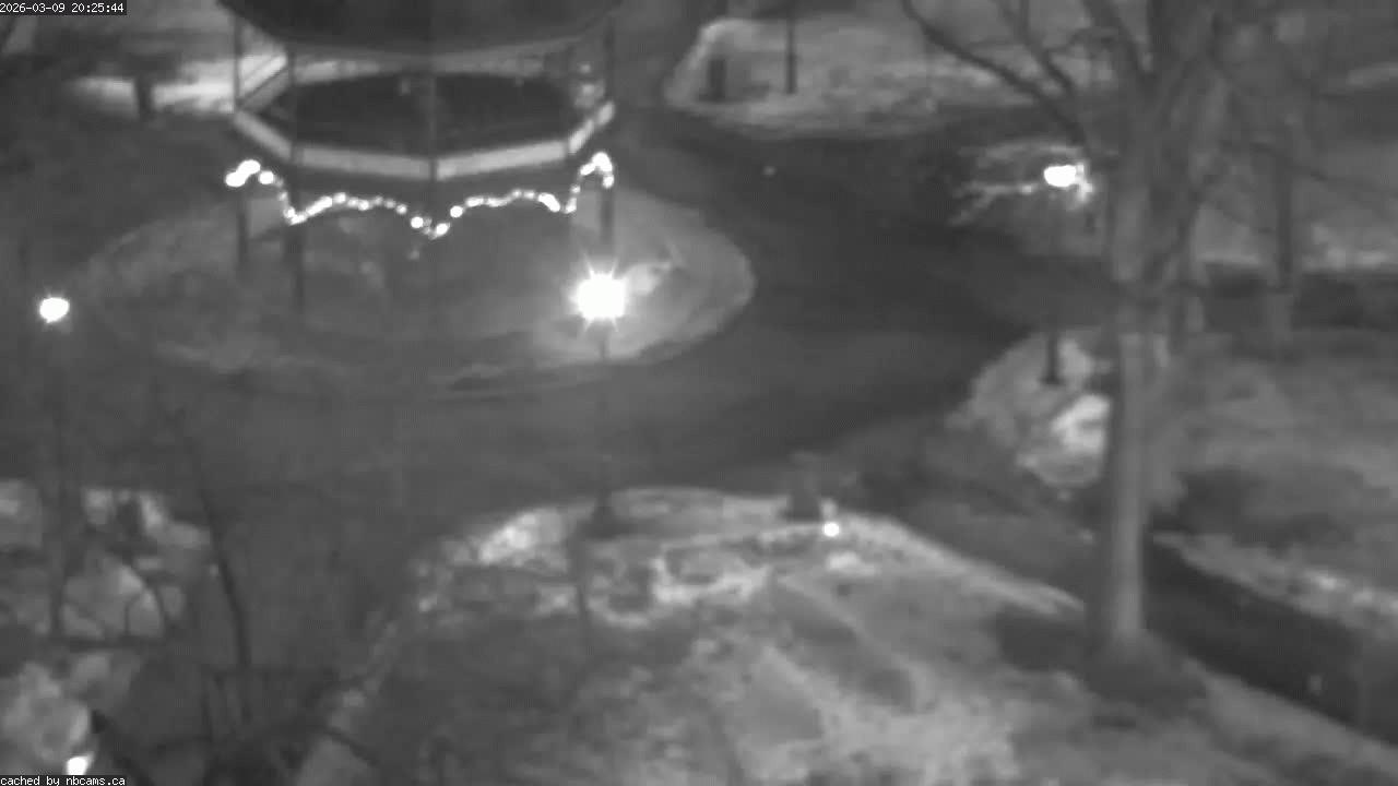 Web Cam image of Saint John (King's Square)