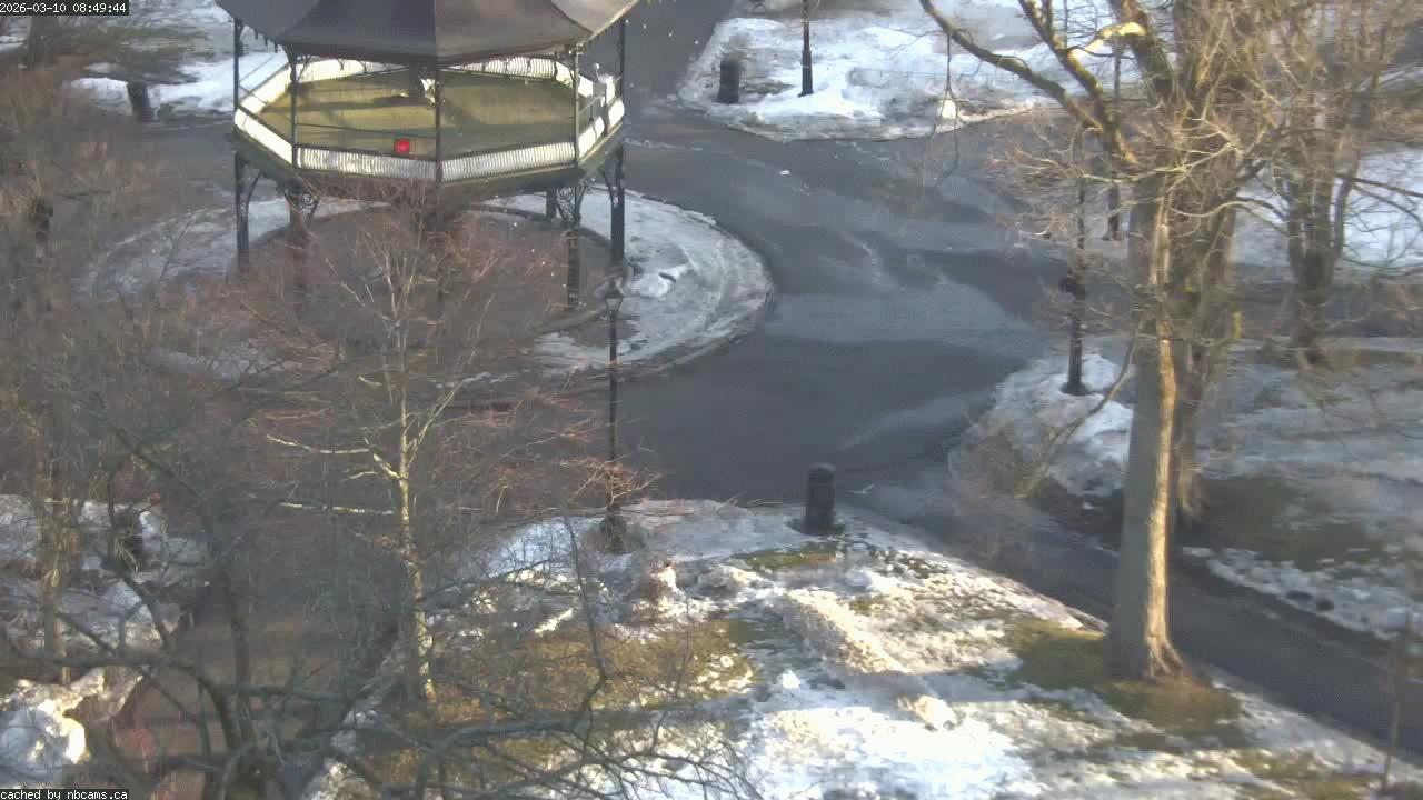 Web Cam image of Saint John (King's Square)