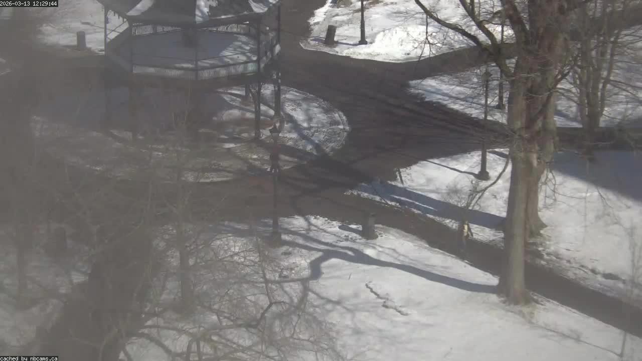 Web Cam image of Saint John (King's Square)