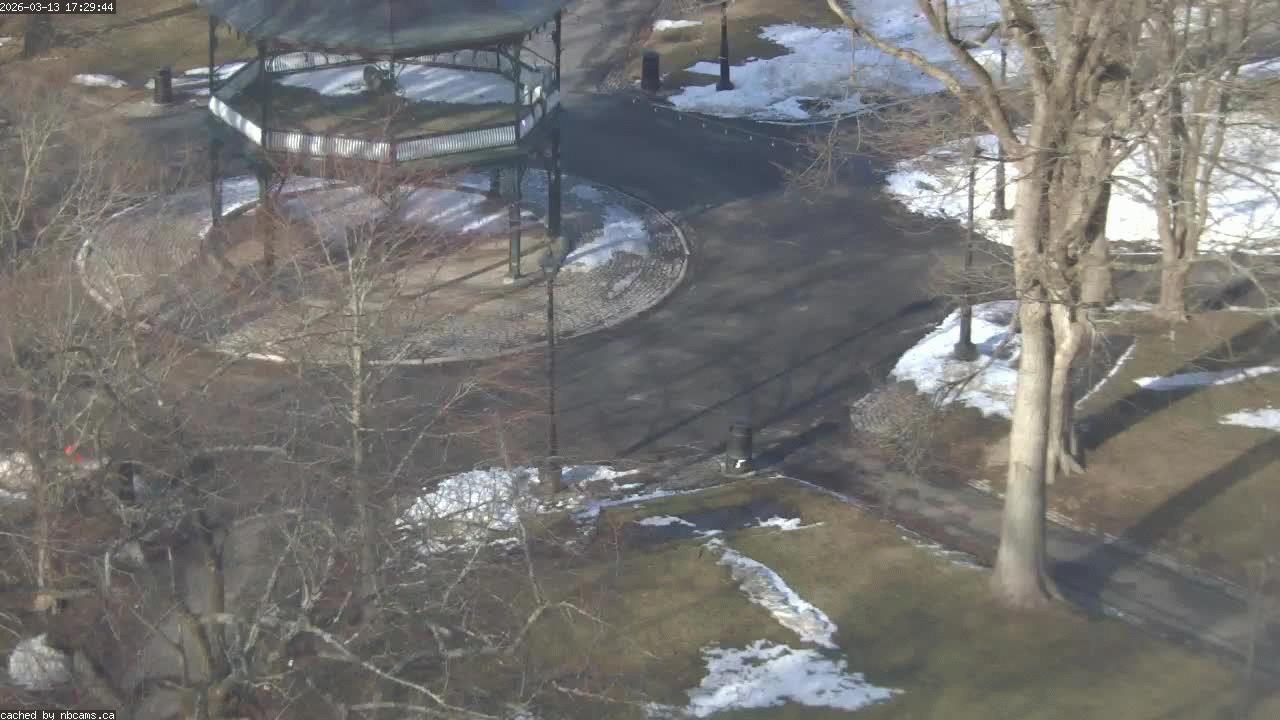 Web Cam image of Saint John (King's Square)