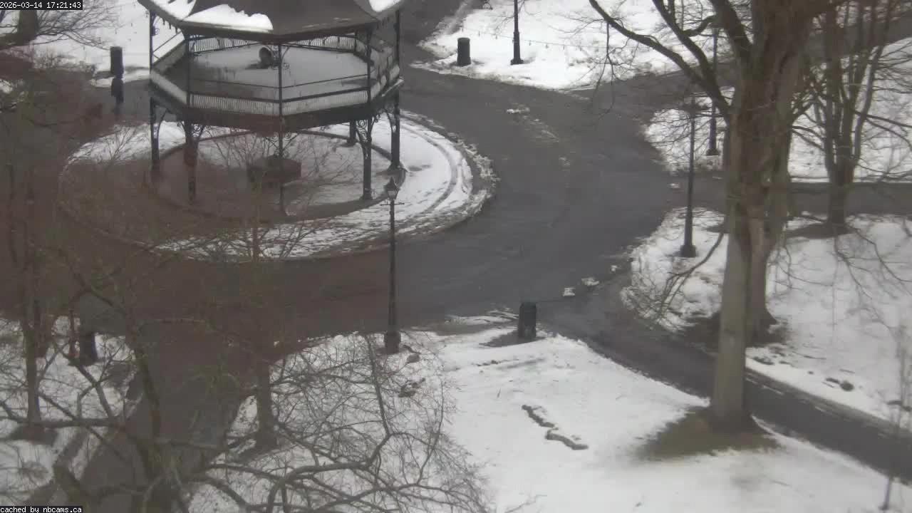 Web Cam image of Saint John (King's Square)