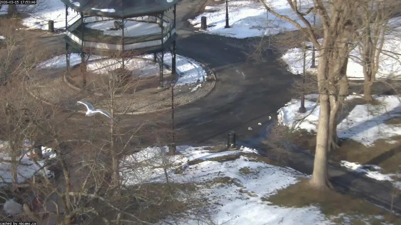 Web Cam image of Saint John (King's Square)