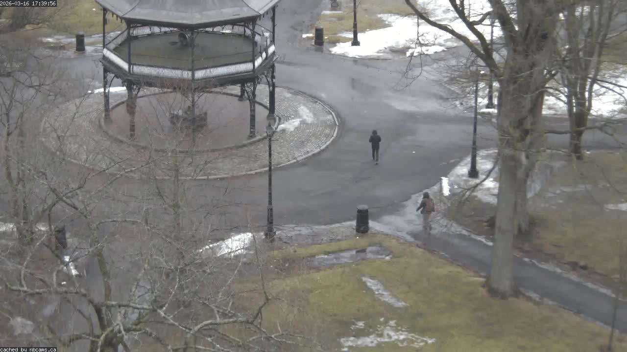 Web Cam image of Saint John (King's Square)